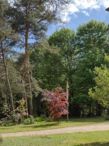 Sejours chez l'habitant Un Air de Vacances : photos des chambres