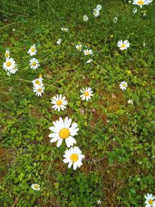 Sejours chez l'habitant Un Air de Vacances : photos des chambres