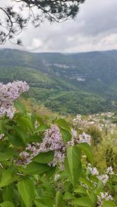 Maisons d'hotes HAUT JURA : photos des chambres