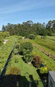 A casa das Ficas - Monte