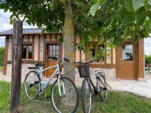 Maisons de vacances Les Gites Des Deux Vallees : photos des chambres