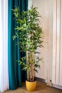 Vlezal Apartment Spa&Pool Beach Resort