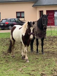 B&B / Chambres d'hotes Chez Kate et lolo : photos des chambres