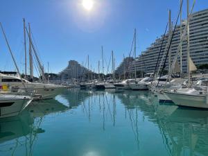 VILLENEUVE LOUBET PLAGE- Entre NICE et CANNES