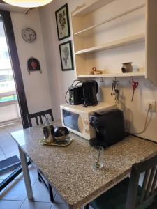 VILLENEUVE LOUBET PLAGE- Entre NICE et CANNES