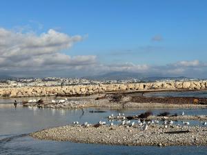 VILLENEUVE LOUBET PLAGE- Entre NICE et CANNES