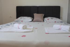 Sun Studio Apartment