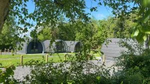Glamping at Share Discovery Village - Clones