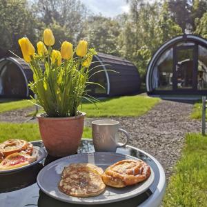 Glamping at Share Discovery Village