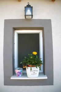 Xanthis Summer House