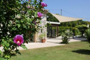 Villas Superbe Mas contemporain au pied du Luberon : photos des chambres