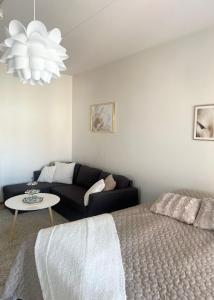 Gem of Annala - private sauna, free parking and WiFi