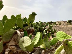 Relax e tranquillità a Cala Pisana