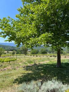 Villas Gnouquette : photos des chambres