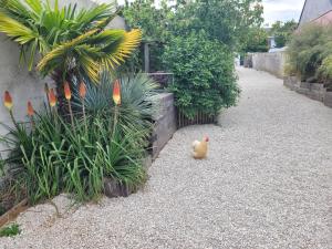 Appartements Angers Green Lodge - Cosy Studio : photos des chambres