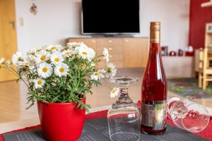 Terrassenpark Schonach App 161