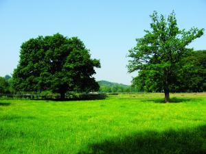Fletcher Hotel Restaurant De Geulvallei
