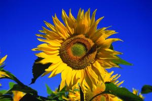 Fletcher Hotel Restaurant De Geulvallei