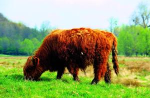 Fletcher Hotel Restaurant De Geulvallei