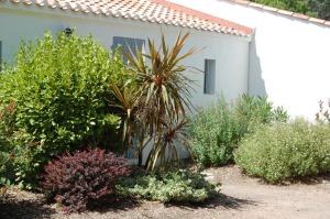 Maisons de vacances Le Parc des Mimosas : photos des chambres