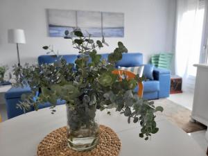 El apartamento de Lola