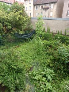 Les appartements du Lion de Belfort