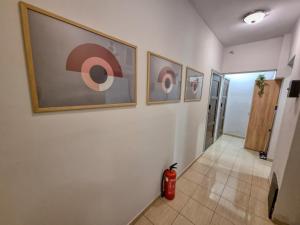 Inviting Studio in Sofia Center