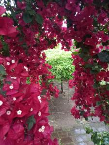 Gran Hotel Concordia