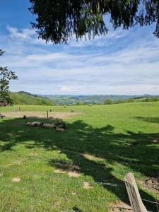 Maisons de vacances Le Puy d'Aubrac : photos des chambres