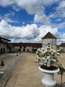 Appartements Chateau d'Hazeville : photos des chambres