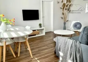 Kintai Carmelite apartment - Muižė