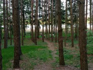 Domek na Mazurach Leśne Zacisze