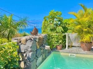 Casa Plumeria, a Private paradise with Pool.