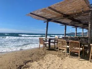 MAS DE SAINT TROPEZ GIGARO - Torés