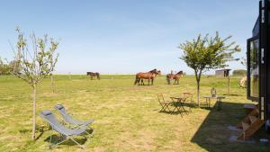 Maisons de vacances Tiny House haras Normand - 20 minutes d'Etretat : photos des chambres