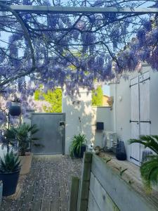 Maisons de vacances La Glycine : photos des chambres