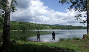 Campings Camping Les Ballastieres - Vosges du Sud : photos des chambres