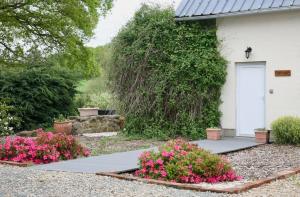 Maisons de vacances Spacious, rustic studio space for 2 persons : photos des chambres