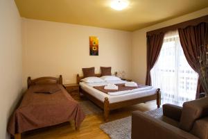Family Room room in Pensiunea Andrei si Denis