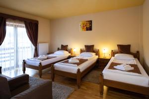Triple Room room in Pensiunea Andrei si Denis