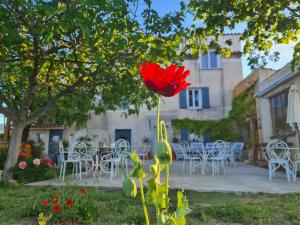 Sejours a la ferme La Ferme Constantin : photos des chambres