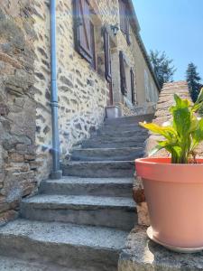 Maisons de vacances Petit cocon au coeur du Morvan : photos des chambres