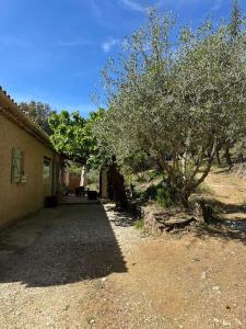 Maisons de vacances Maison Amandre en Pleine Nature - Mas Lou Castanea : photos des chambres