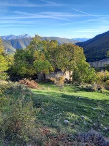 Maisons de vacances Gite a la ferme La Bedigue : photos des chambres