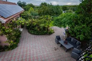 Provence - Fîntînele