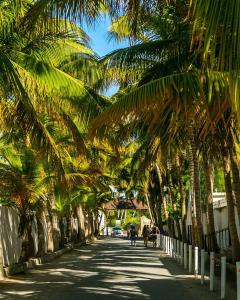 Cozy 2BDR • Pool View • Prime Bávaro Location