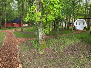 Chalets Kota avec bain nordique, sauna et piscine : photos des chambres