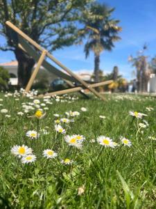 Maisons d'hotes Agreable suite - Bassin Arcachon : photos des chambres