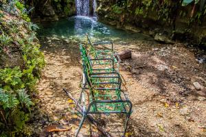 The Hamiltons Nature Villa