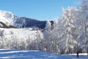 Appartements Appt a Ancelle pied des pistes : photos des chambres